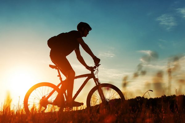 bike-parts-store